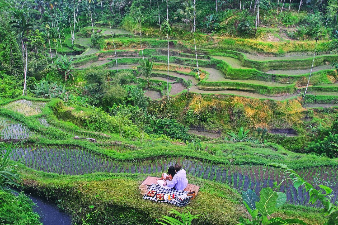 Resort The Kayon Ubud (Bali)